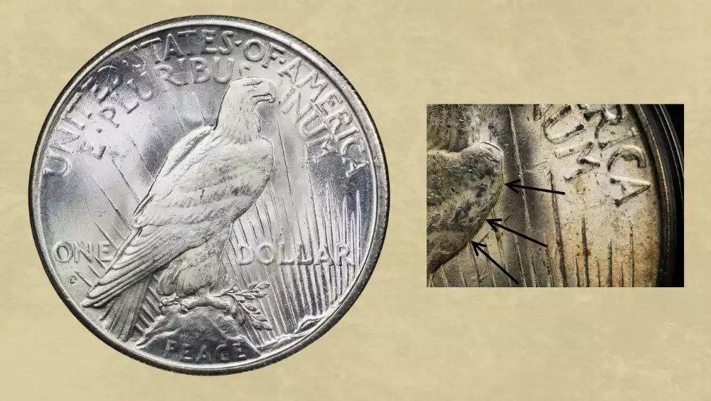1925-S Peace Dollar reverse comparison: normal eagle wing (left) vs VAM 3 Doubled Wing variety (right)