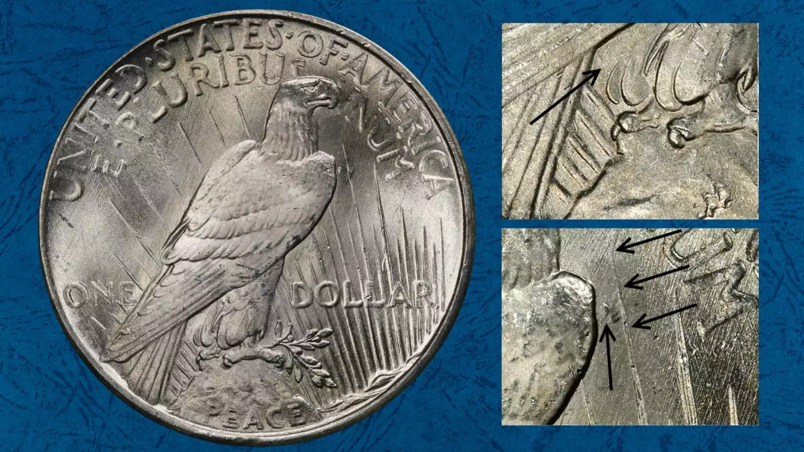 1925 Peace Dollar reverse showing VAM 1T Missing Ray — weakened or absent ray near eagle's tail feathers