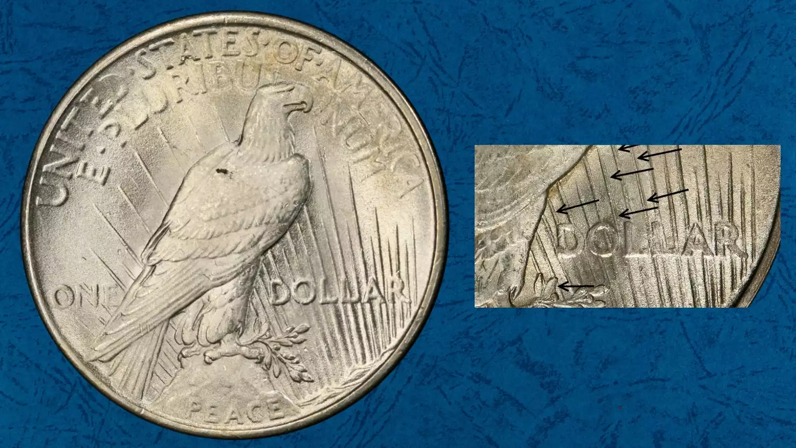 1925 Peace Dollar reverse VAM 3 Doubled Shoulder — doubled ray lines visible above DOLLAR near the eagle's shoulder