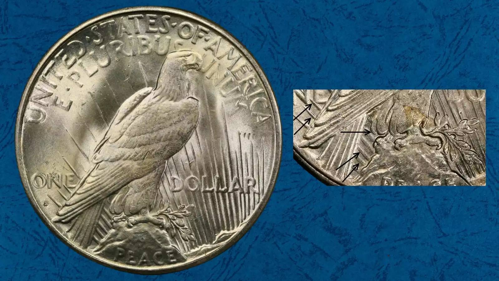 1925-S Peace Dollar reverse VAM 2 Doubled Reverse — doubled eagle leg feathers and doubled olive branch rays visible