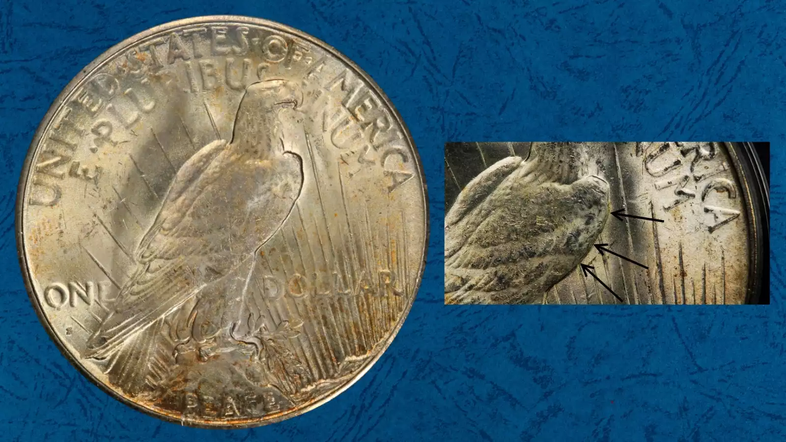 1925-S Peace Dollar reverse VAM 3 Doubled Wing — doubled parallel feather lines along upper left wing of the eagle
